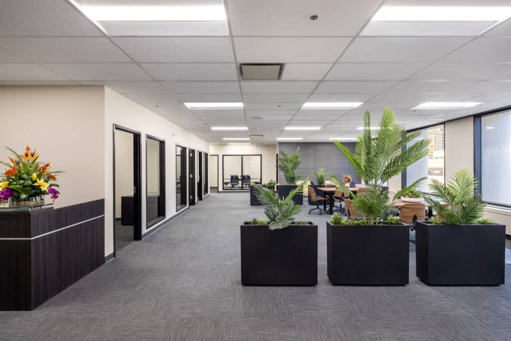 Open workspace with planters and glass-front private offices on Level 4 at 1950 Franklin
