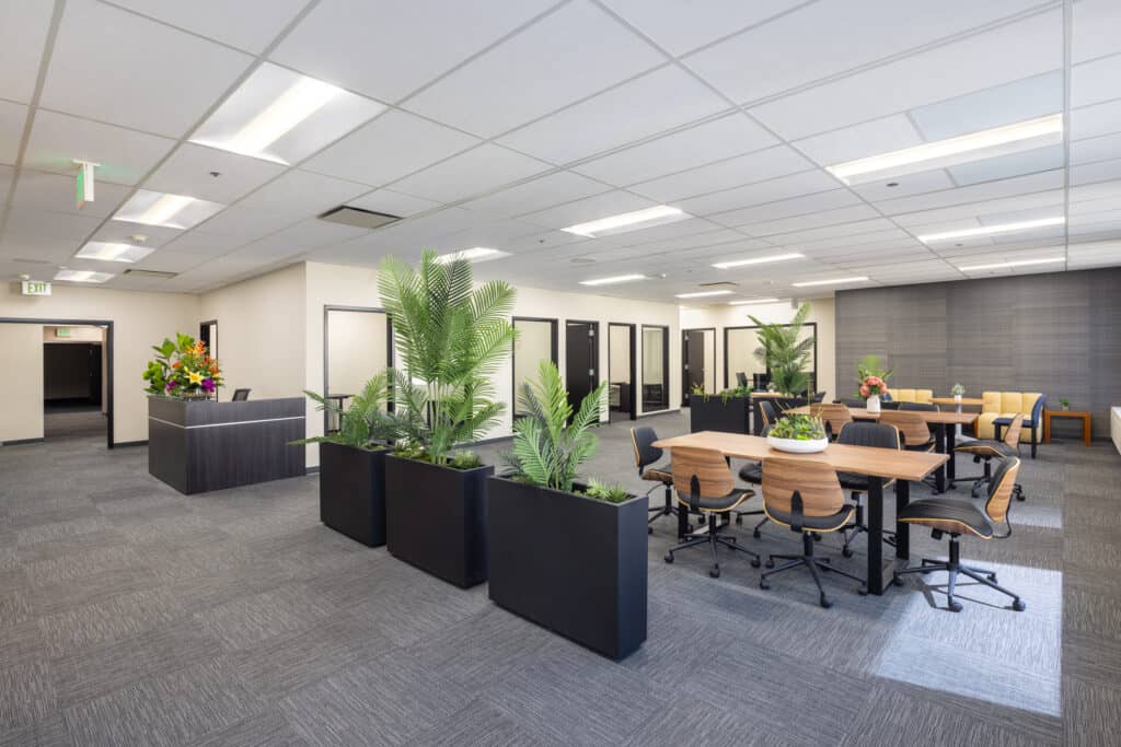 Open collaboration area with tables and planters in a Level 4 office suite in Oakland