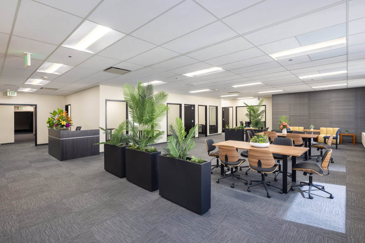 Open collaboration area with planters and team tables in a 1950 Franklin office suite