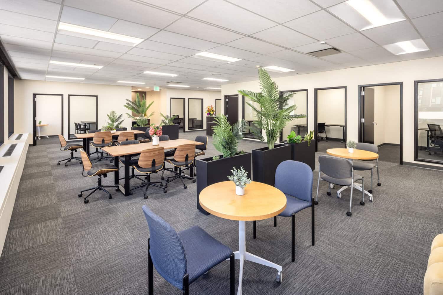 Office space for large teams in Oakland: an open team area inside a Level 4 office suite at 1950 Franklin
