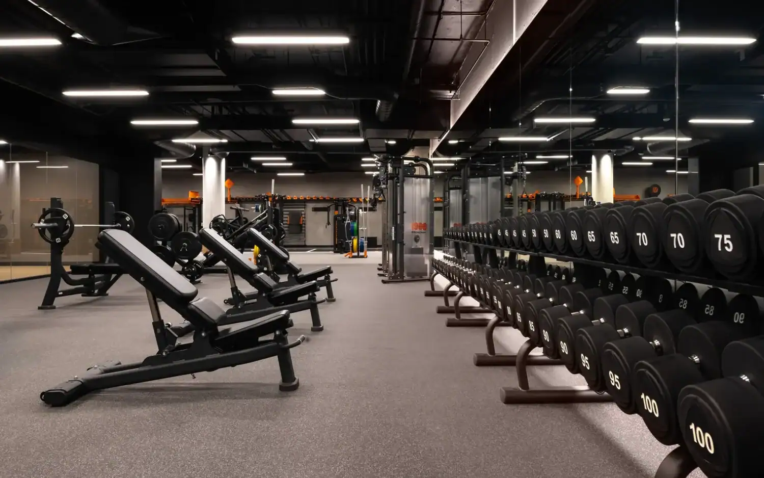 Free weights and strength equipment in the 6,000+ sq ft MoveStrong Fitness Center on the 1900 Broadway Campus